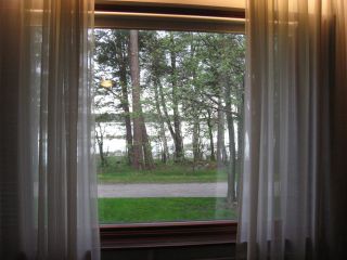 Fönster