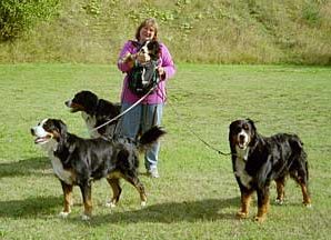 Kim med några av sina hundar. I famnen har hon Tola, bakom henne står Zacko, framför henne står Namie och till höger Dakida. Det är bara Tola som fortfarande finns kvar i livet. Se längre ner för bilder på de hundar Kim har idag.